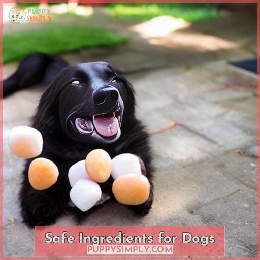Safe Ingredients for Dogs