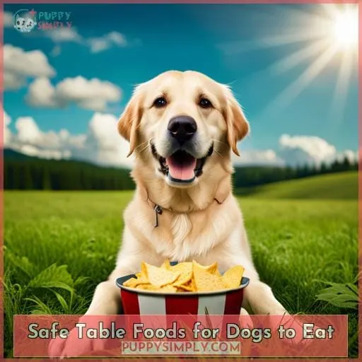 Safe Table Foods for Dogs to Eat