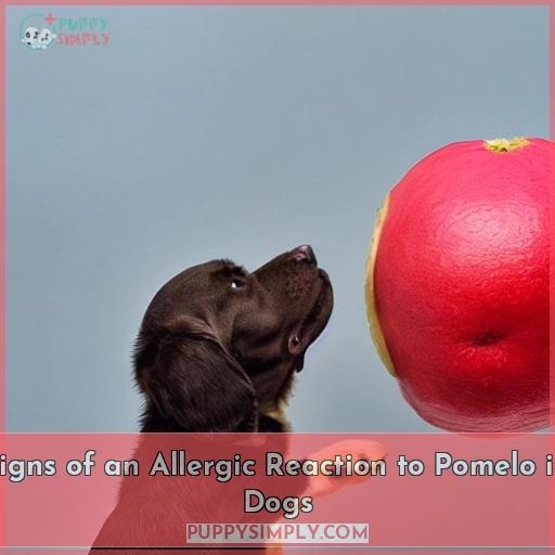 Signs of an Allergic Reaction to Pomelo in Dogs