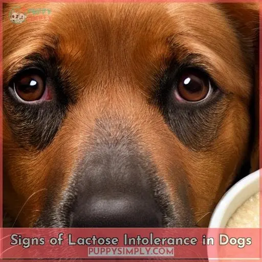 Signs of Lactose Intolerance in Dogs