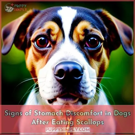 Signs of Stomach Discomfort in Dogs After Eating Scallops
