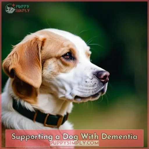 Supporting a Dog With Dementia
