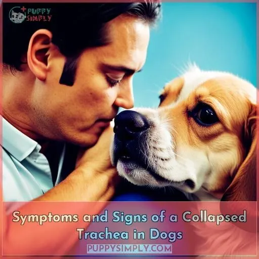 Symptoms and Signs of a Collapsed Trachea in Dogs