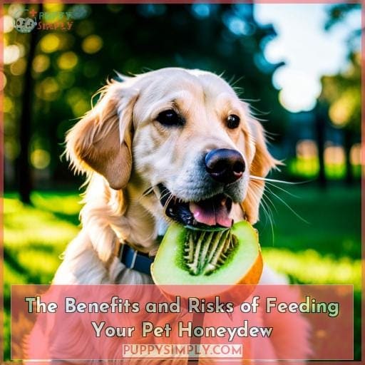The Benefits and Risks of Feeding Your Pet Honeydew The Benefits and Risks of Feeding Your Pet Honeydew