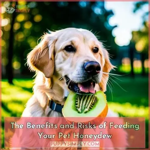 The Benefits and Risks of Feeding Your Pet Honeydew
