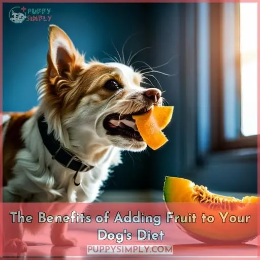 The Benefits of Adding Fruit to Your Dog