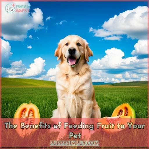 The Benefits of Feeding Fruit to Your Pet The Benefits of Feeding Fruit to Your Pet