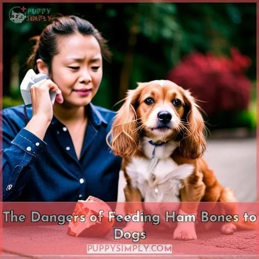 The Dangers of Feeding Ham Bones to Dogs