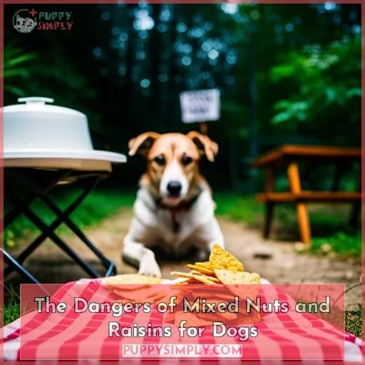 The Dangers of Mixed Nuts and Raisins for Dogs