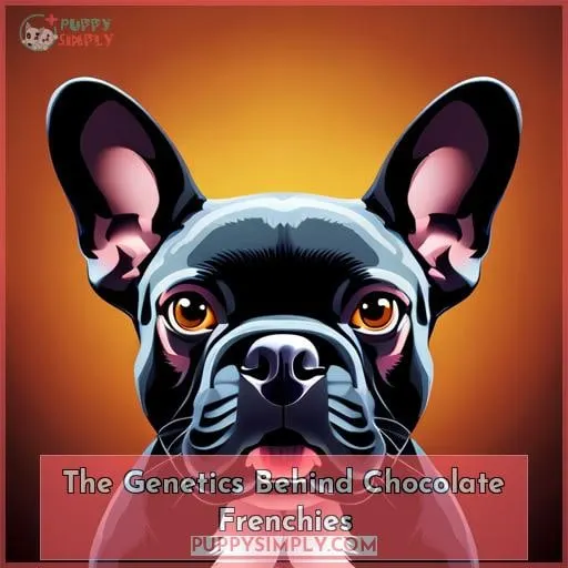 The Genetics Behind Chocolate Frenchies