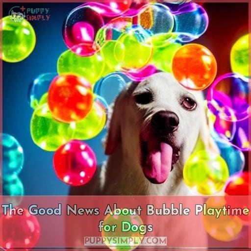 The Good News About Bubble Playtime for Dogs