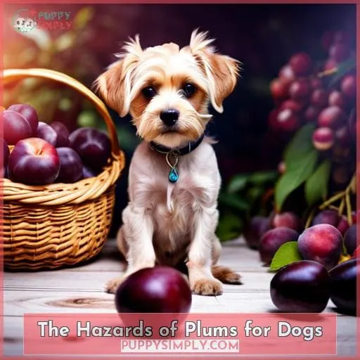 The Hazards of Plums for Dogs