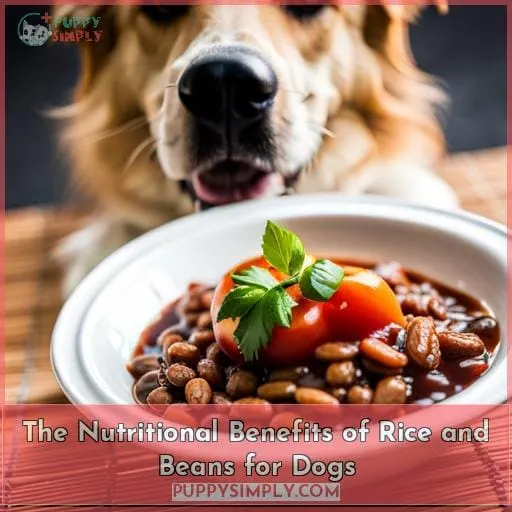 The Nutritional Benefits of Rice and Beans for Dogs