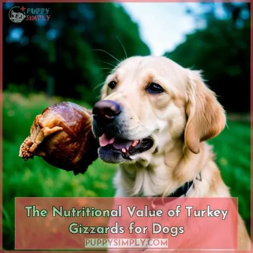 The Nutritional Value of Turkey Gizzards for Dogs