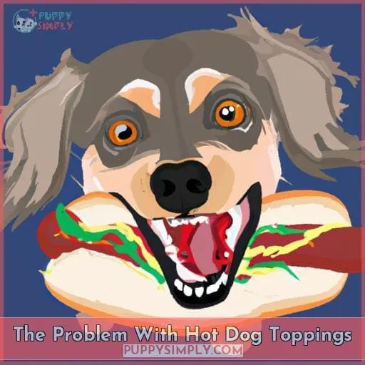 The Problem With Hot Dog Toppings