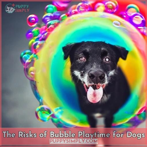 The Risks of Bubble Playtime for Dogs