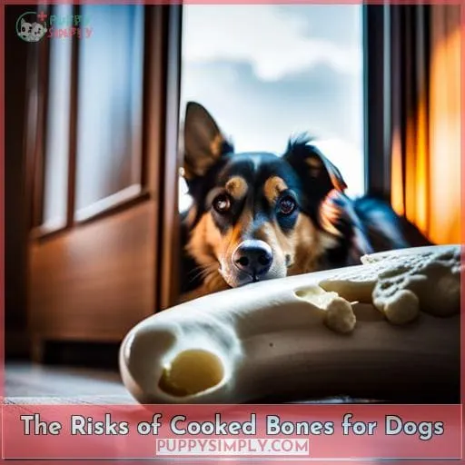 The Risks of Cooked Bones for Dogs
