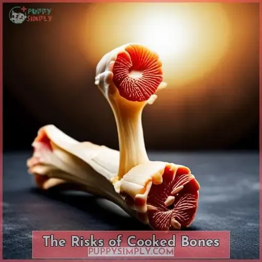 The Risks of Cooked Bones