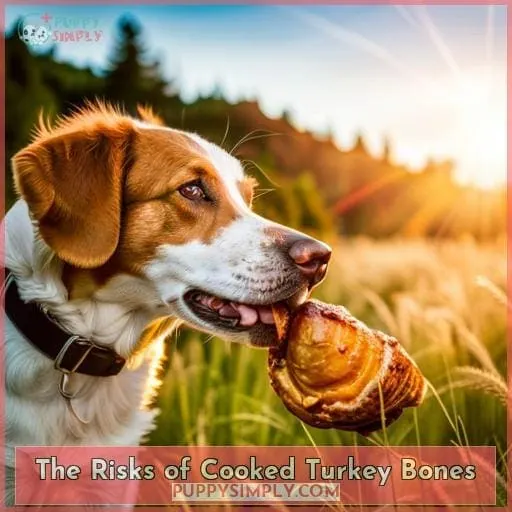 The Risks of Cooked Turkey Bones