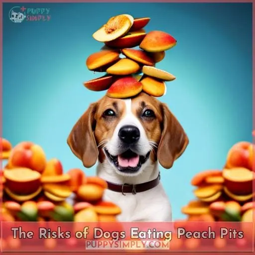 The Risks of Dogs Eating Peach Pits