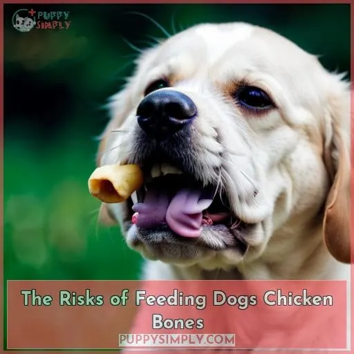 The Risks of Feeding Dogs Chicken Bones
