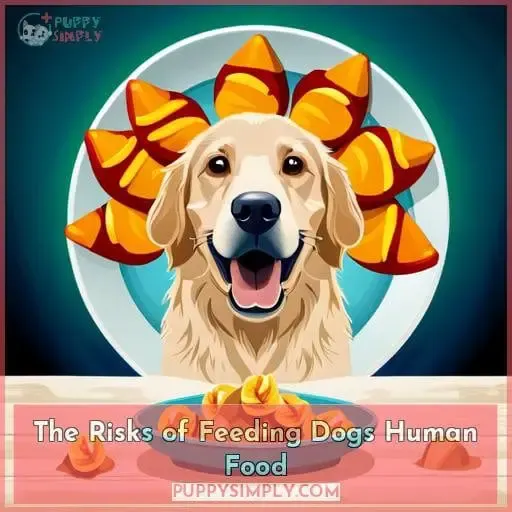 The Risks of Feeding Dogs Human Food