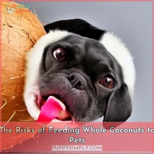 The Risks of Feeding Whole Coconuts to Pets