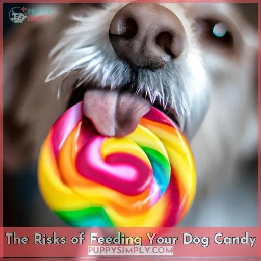 The Risks of Feeding Your Dog Candy
