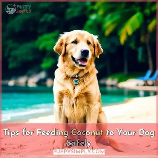 Tips for Feeding Coconut to Your Dog Safely