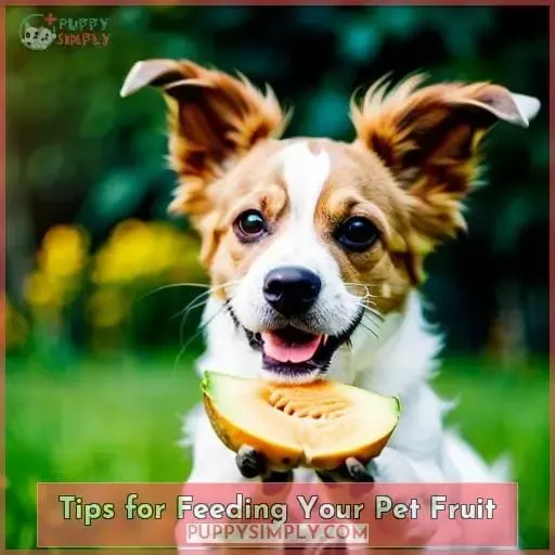 Tips for Feeding Your Pet Fruit