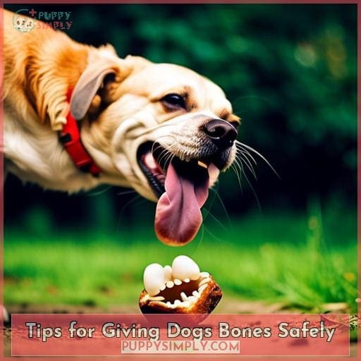 Tips for Giving Dogs Bones Safely
