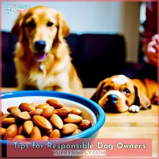 Tips for Responsible Dog Owners