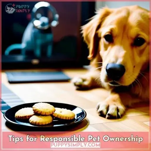 Tips for Responsible Pet Ownership