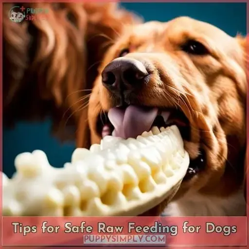 Tips for Safe Raw Feeding for Dogs