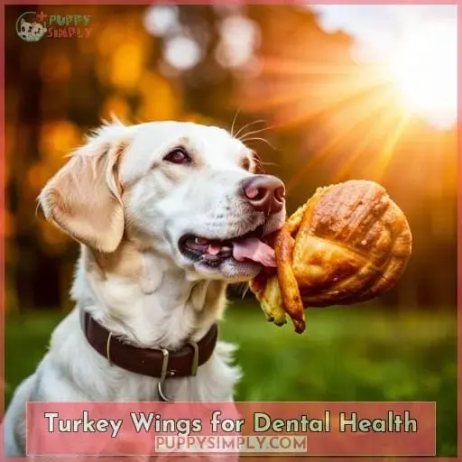 Turkey Wings for Dental Health
