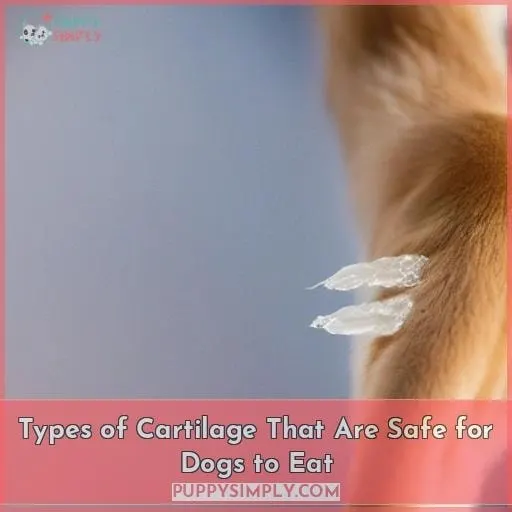 Types of Cartilage That Are Safe for Dogs to Eat
