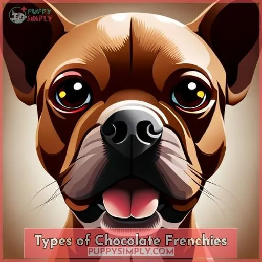 Types of Chocolate Frenchies