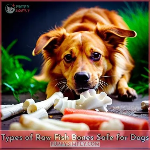 Types of Raw Fish Bones Safe for Dogs