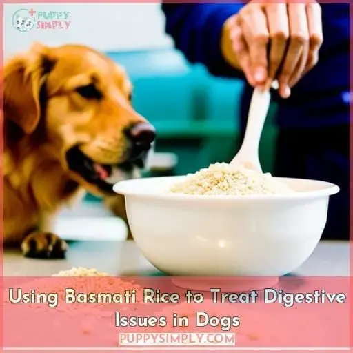 Using Basmati Rice to Treat Digestive Issues in Dogs