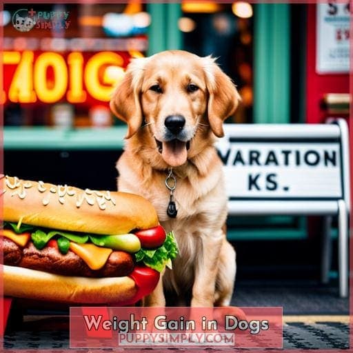 Weight Gain in Dogs