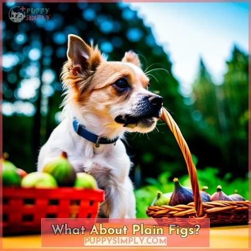 What About Plain Figs?
