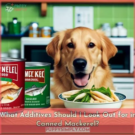 What Additives Should I Look Out for in Canned Mackerel?