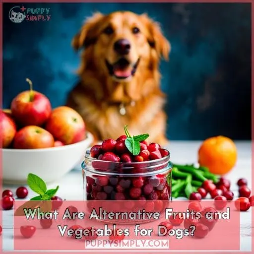 What Are Alternative Fruits and Vegetables for Dogs?