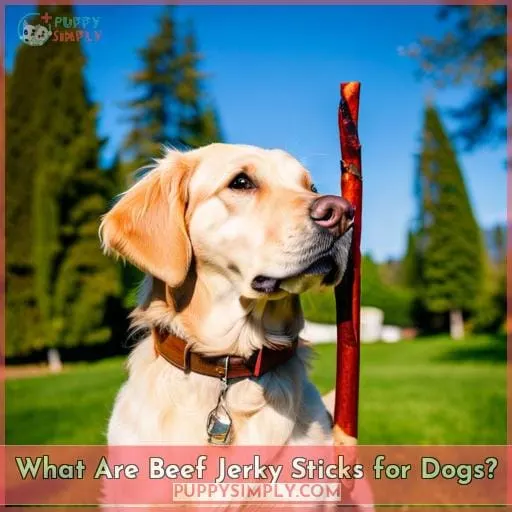 What Are Beef Jerky Sticks for Dogs?