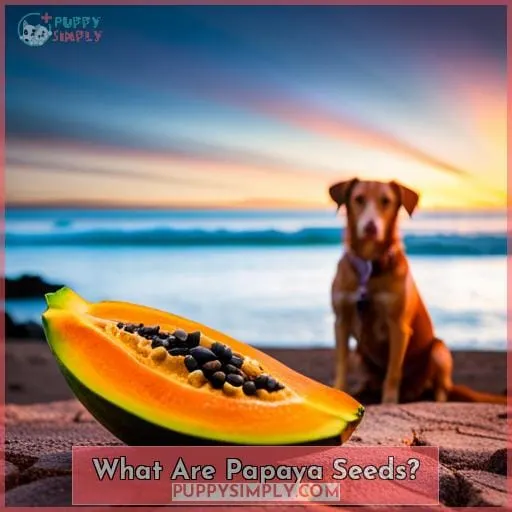 What Are Papaya Seeds?