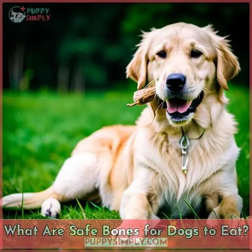 What Are Safe Bones for Dogs to Eat?