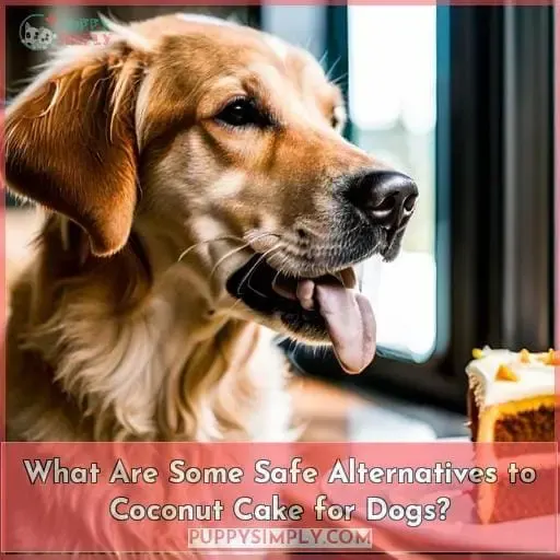 What Are Some Safe Alternatives to Coconut Cake for Dogs?