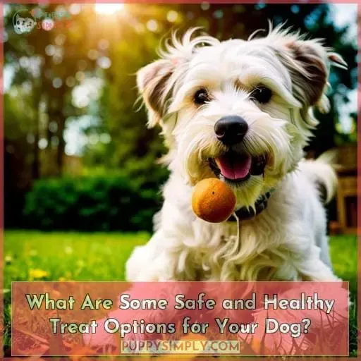 What Are Some Safe and Healthy Treat Options for Your Dog?