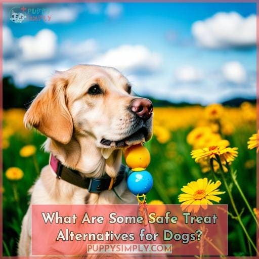 What Are Some Safe Treat Alternatives for Dogs?