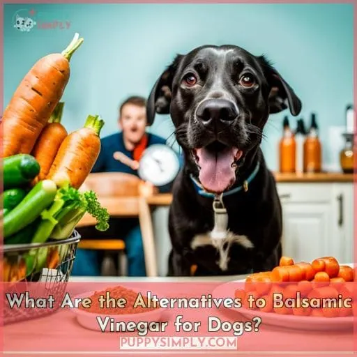 What Are the Alternatives to Balsamic Vinegar for Dogs?